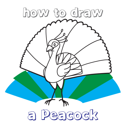 500x500 How To Draw How To Draw A Peacock For Kids