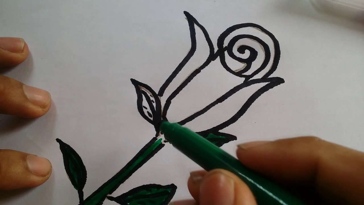 1280x720 How To Draw Step By Step Flowers