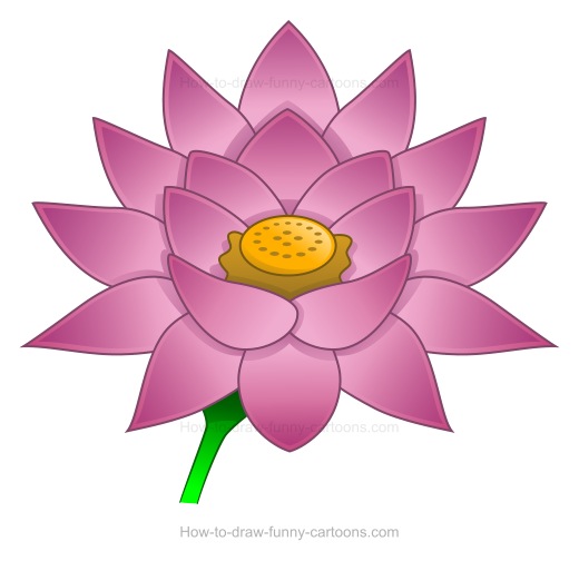 520x504 To Create A Lotus Flower Drawing