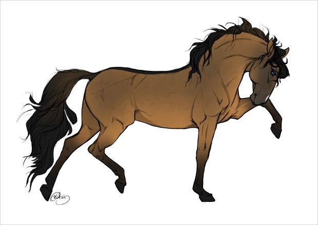 620x438 Beautiful Horse Drawings, Art Ideas Design Trends