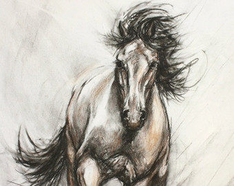 340x270 Horse Drawing Etsy