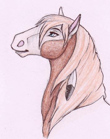 355x446 Drawings Of Rain The Horse