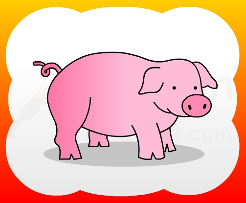 503x415 How2draw4kids How To Draw Pig For Kids