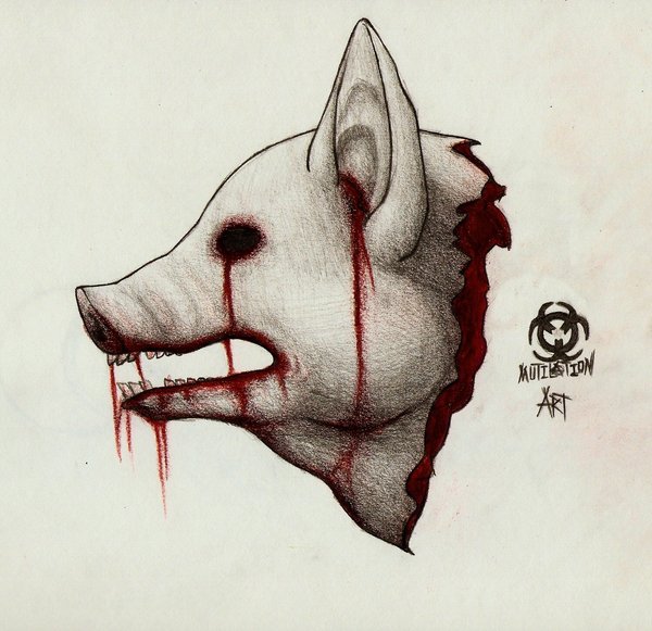600x581 Pig Head By Bloodymutilation