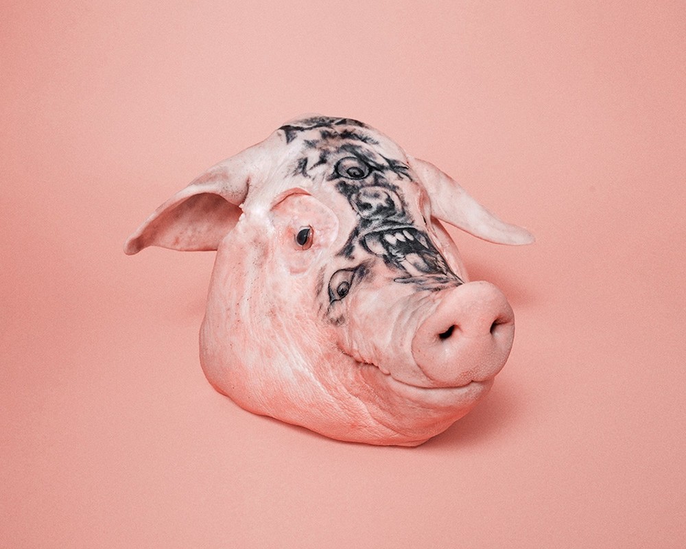 1000x800 This Is What Happens When You Get Tattooists To Make Pigs' Heads