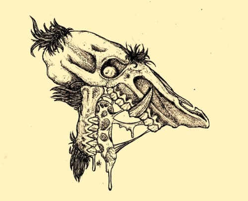 500x405 Skull Pigs Tumblr