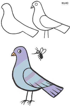 293x444 Pigeon Drawing Drawings Drawings, Drawing Cartoons