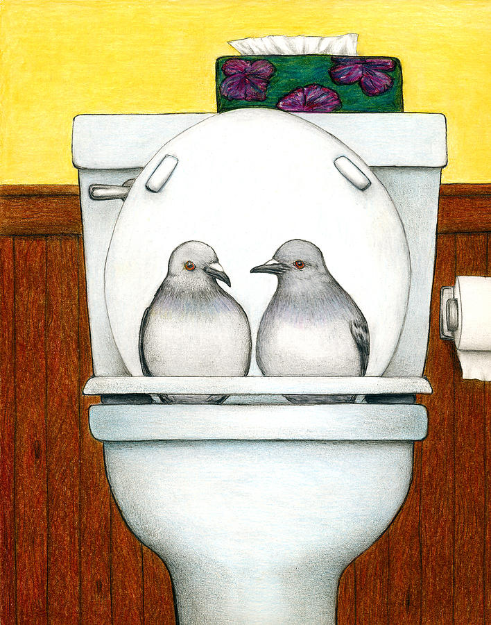 708x900 Stool Pigeon Drawing By Don Mcmahon