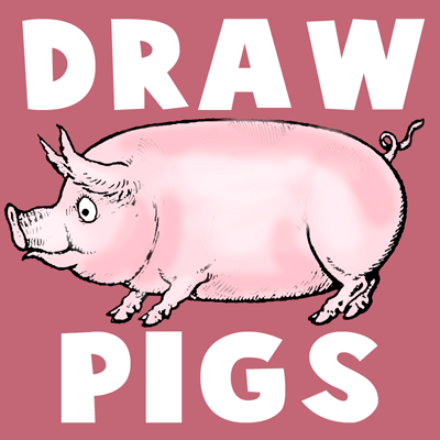 400x400 How To Draw Cartoon Hogs And Pigs In Simple To Follow Steps