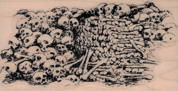 700x359 Pile Of Bones And Skulls 2 12 X 4 12