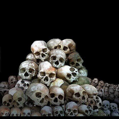 469x469 Pile Of Skulls