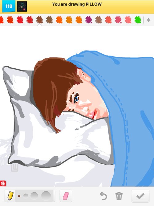 500x667 Pillow Drawings