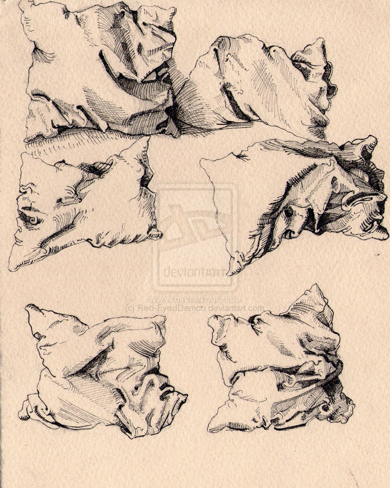 800x1000 Pillow Study, Albrecht Durer Print Amp Pattern