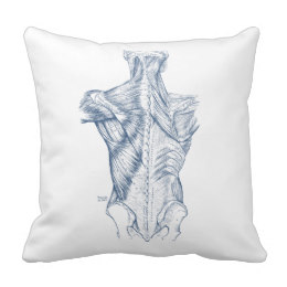 260x260 Vintage Anatomy Drawings Pillows