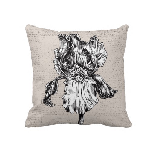 512x512 Vintage Iris Drawing Pillows Black And White Iris