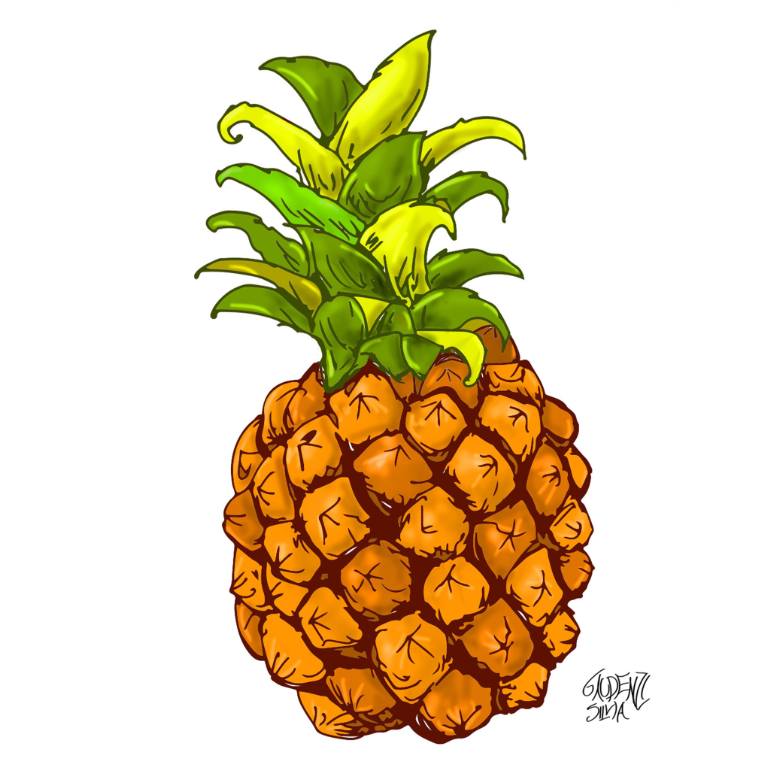 770x770 Saatchi Art Color Pineapple Drawing By Silvia Gaudenzi