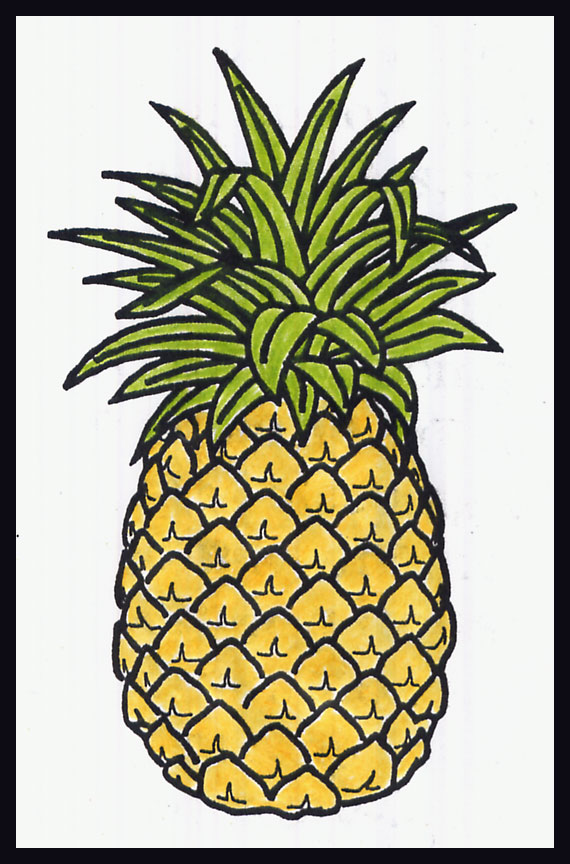 570x864 How To Draw A Pineapple British Israel.us