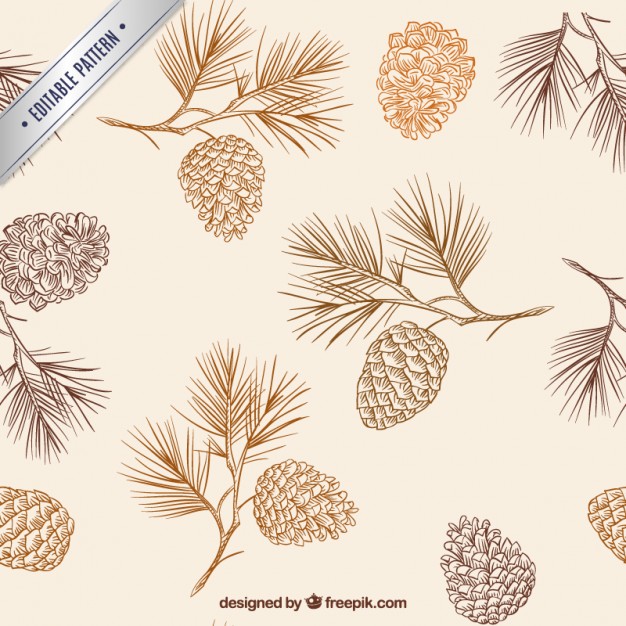 626x626 Hand Drawn Pine Cones Pattern Vector Free Download