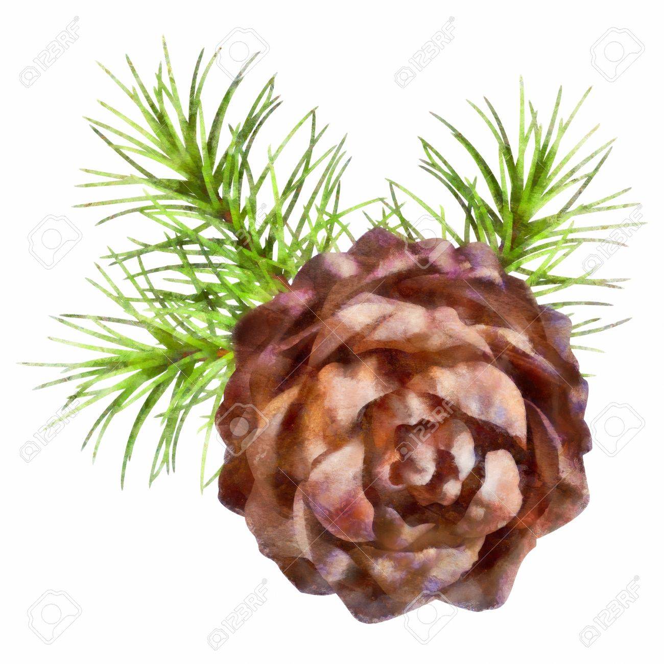 1300x1300 Christmas Drawing Tree Branch Hanging Pine Cone On White