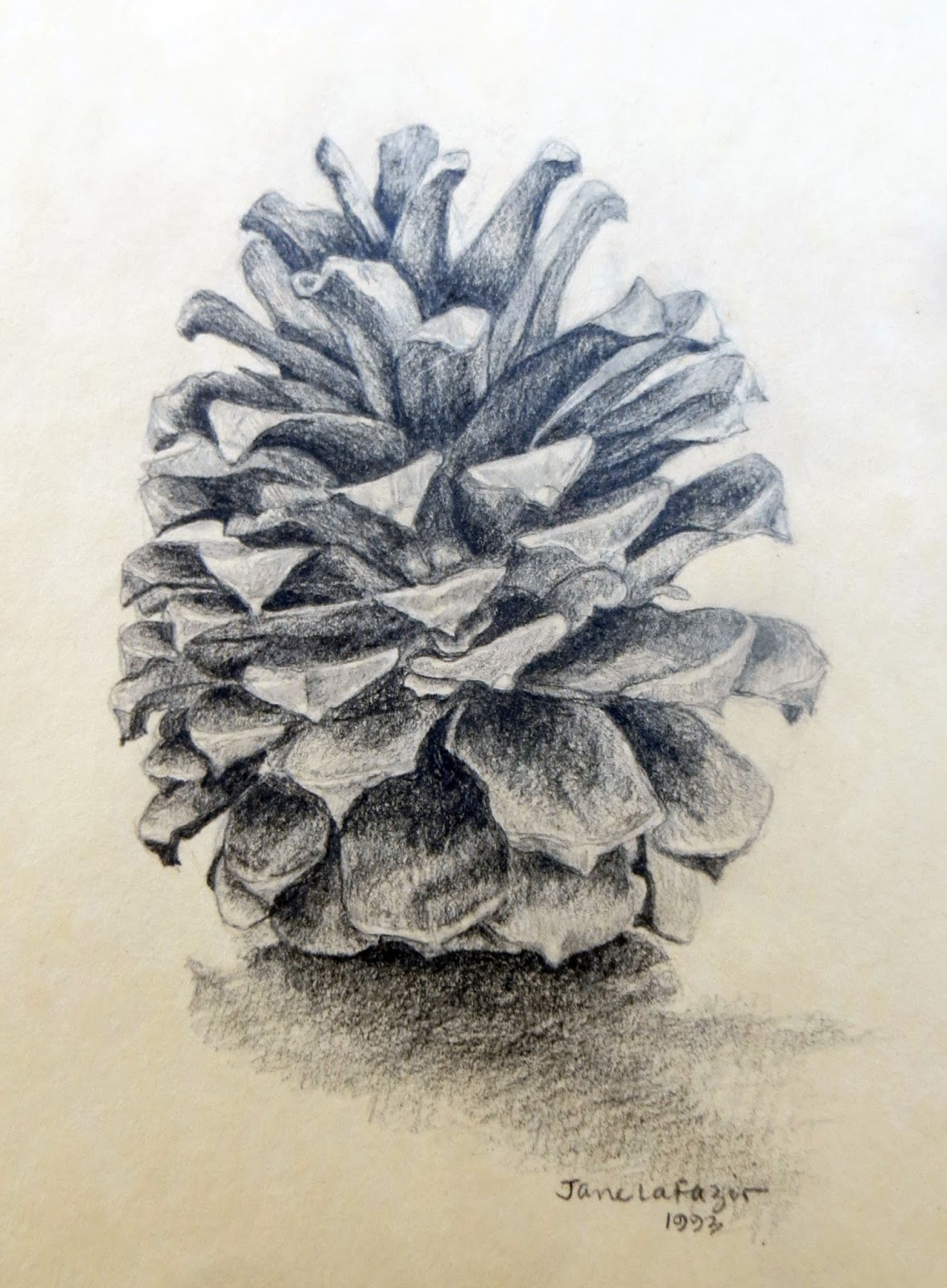 1177x1600 Janeville A Passion For Pine Cones