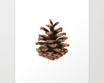 340x270 Pine Cone Drawing Etsy