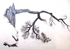 236x167 Image Result For Pine Tree Pencil Drawing Art Pine
