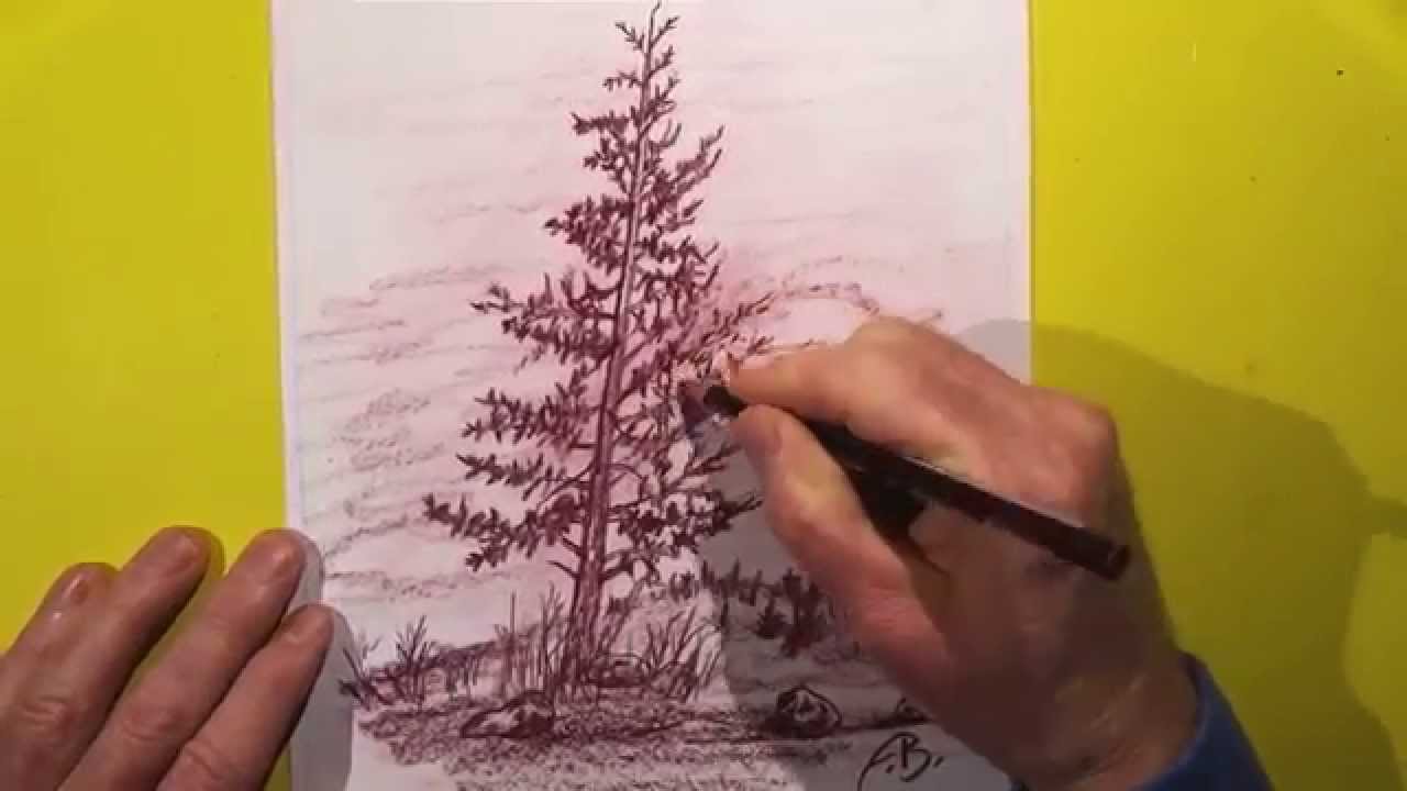 1280x720 Pencil Drawing Lone Pine Tree