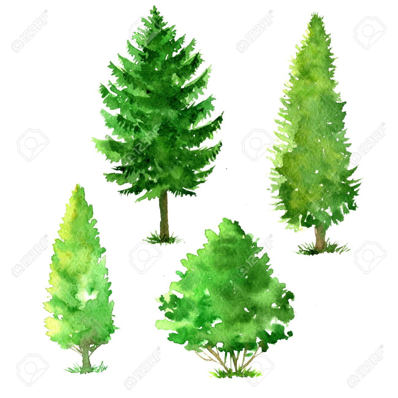 1300x1300 Set Of Trees Drawing By Watercolor, Conifers And Deciduous, Green