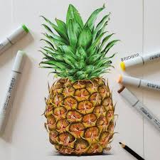 225x225 Image Result For Pineapple Drawings Cute And Cool Drawlings