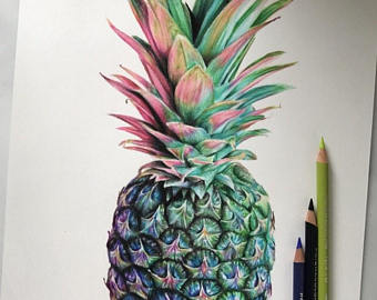 340x270 Pineapple Drawing Etsy