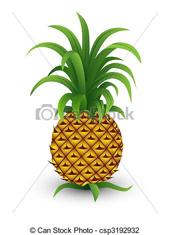 341x470 A Pineapple Isolated On A White Background Vector Illustration