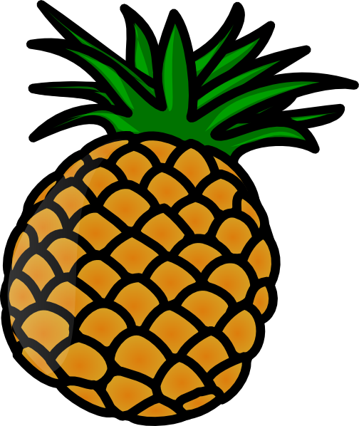 504x598 Pineapple Clip Art