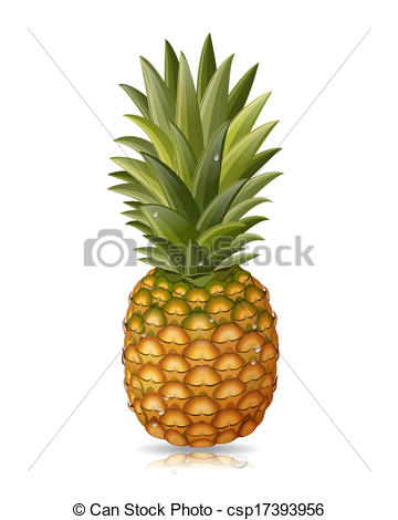 360x470 Pineapple Isolated Clipart Vector