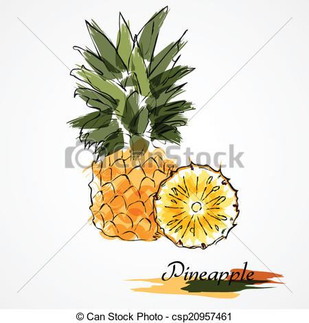 450x470 Pineapple Fruit Slice. Hand Drawn Pineapple Ripe Fruit Slice