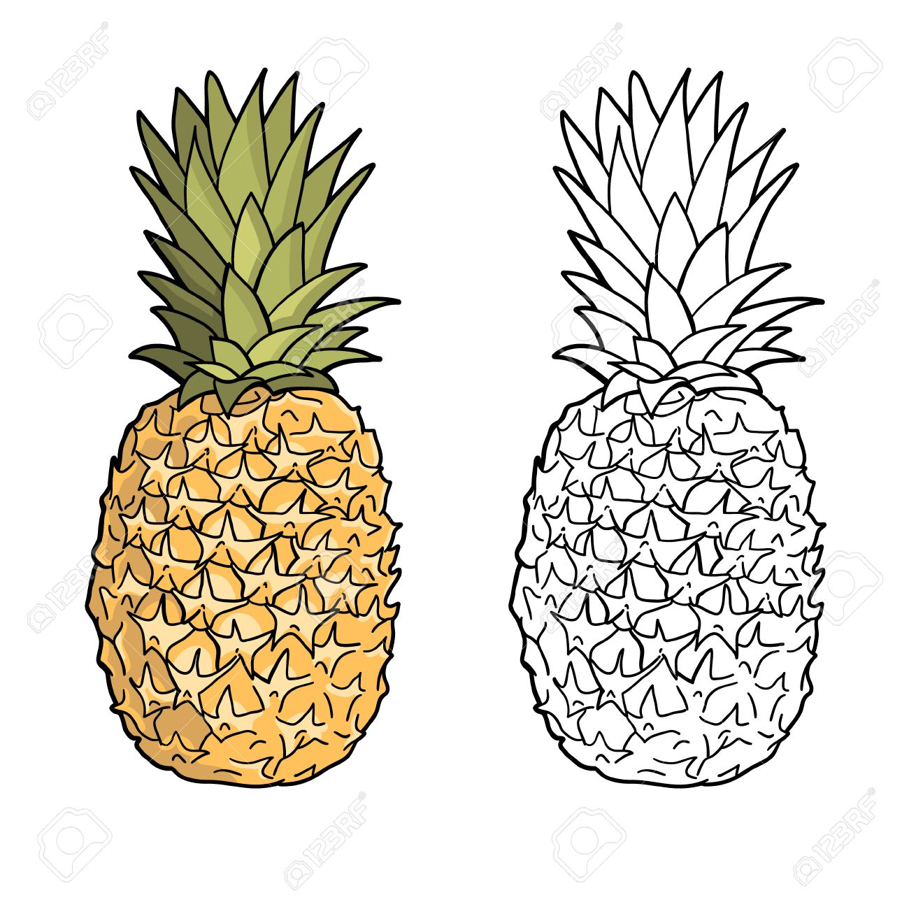 1300x1300 Isolated Pineapples Graphic Stylized Drawing Vector Illustration