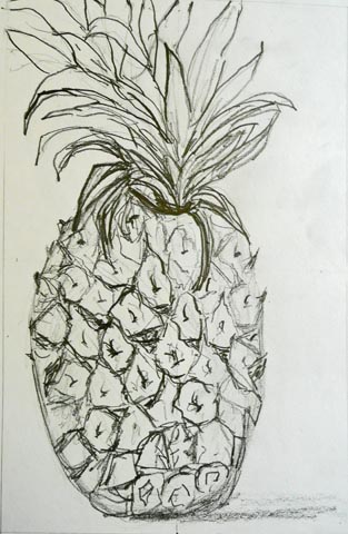 313x480 Pencil And Charcoal Drawing Workshops And Pineapples, Pineapples