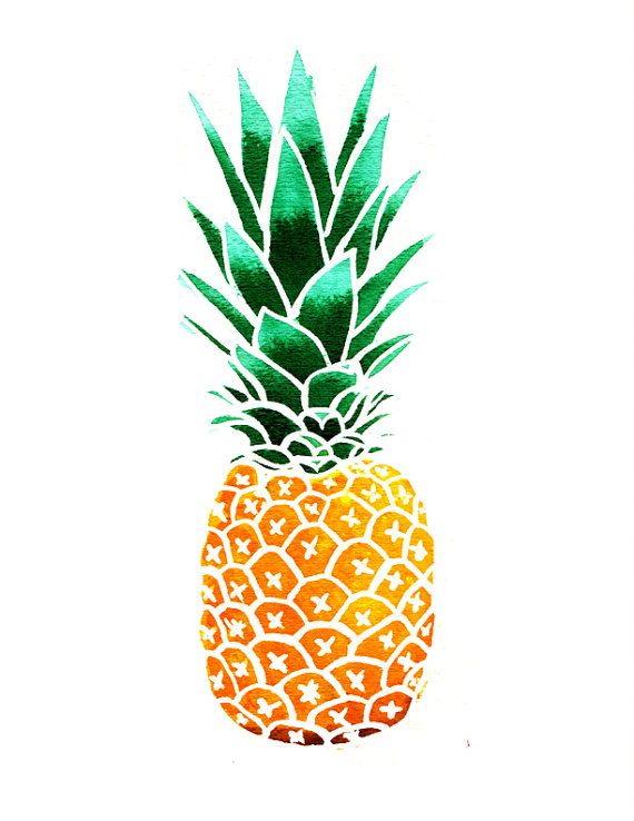 570x738 Pineapple Illustration Unique Alternative To Wedding Guest Book
