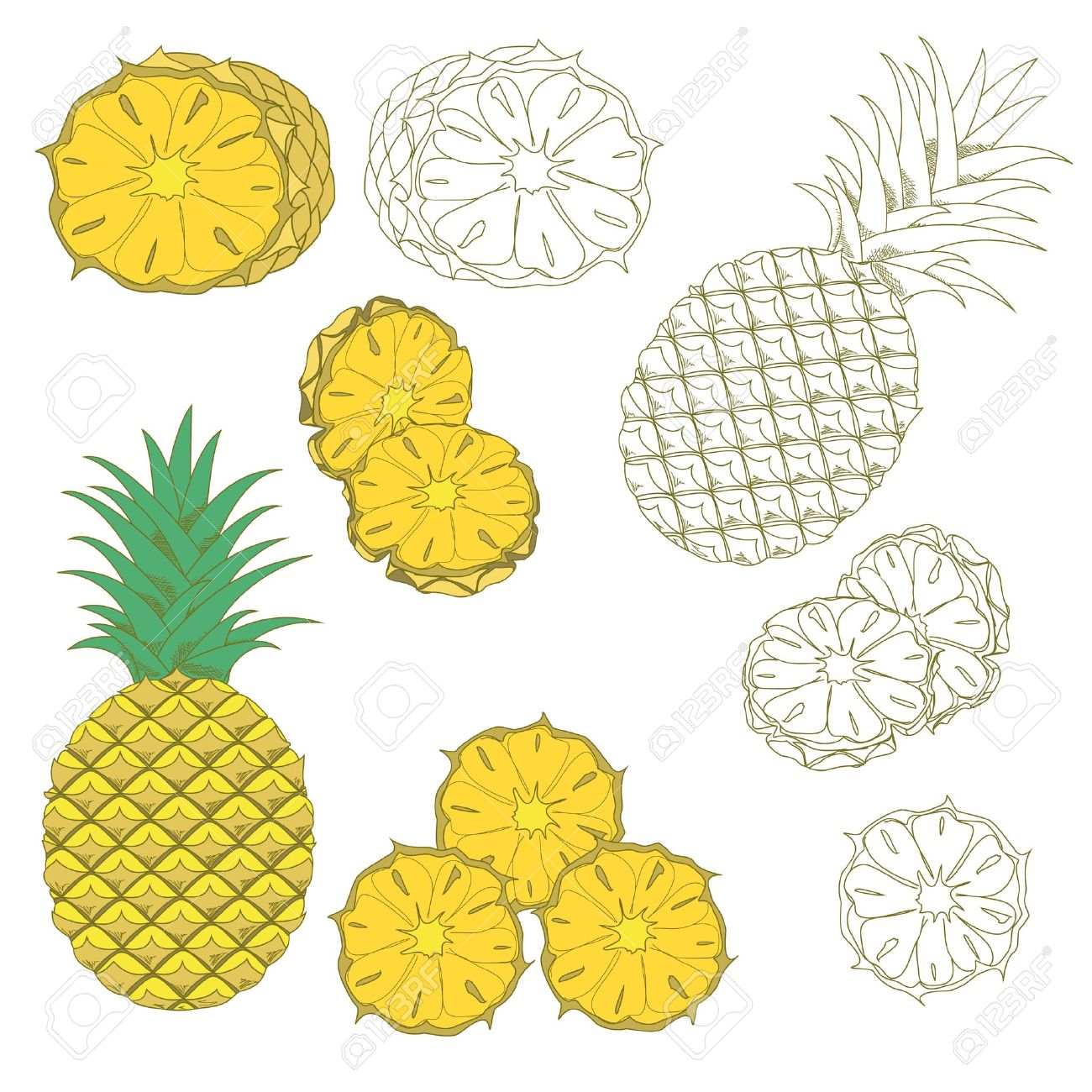 1300x1300 Set Of Colored And Hand Drawn Pineapples On The White Background