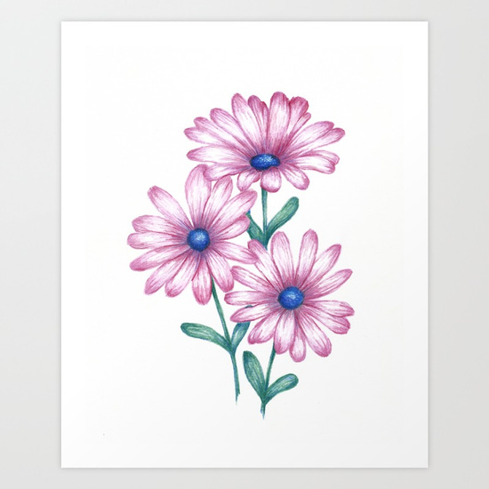 550x550 Flower Drawing Daisy Pink Print, Botanical Art Art Print By