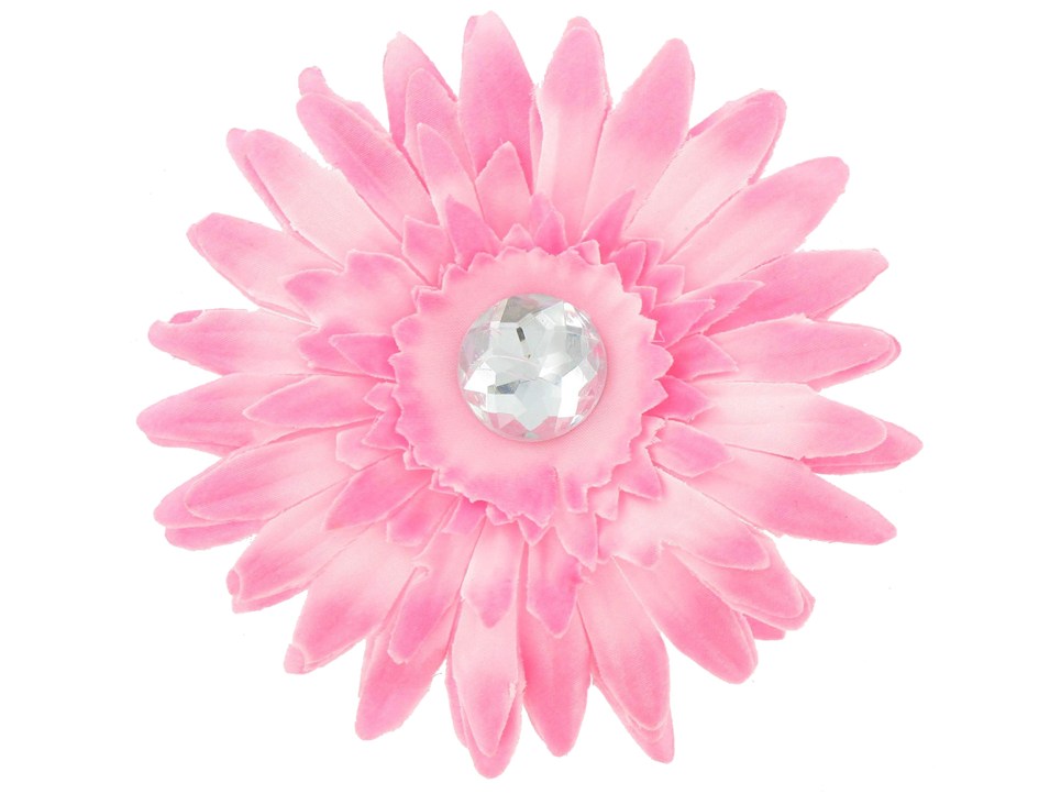 965x722 Pink Gerber Daisy Clipart