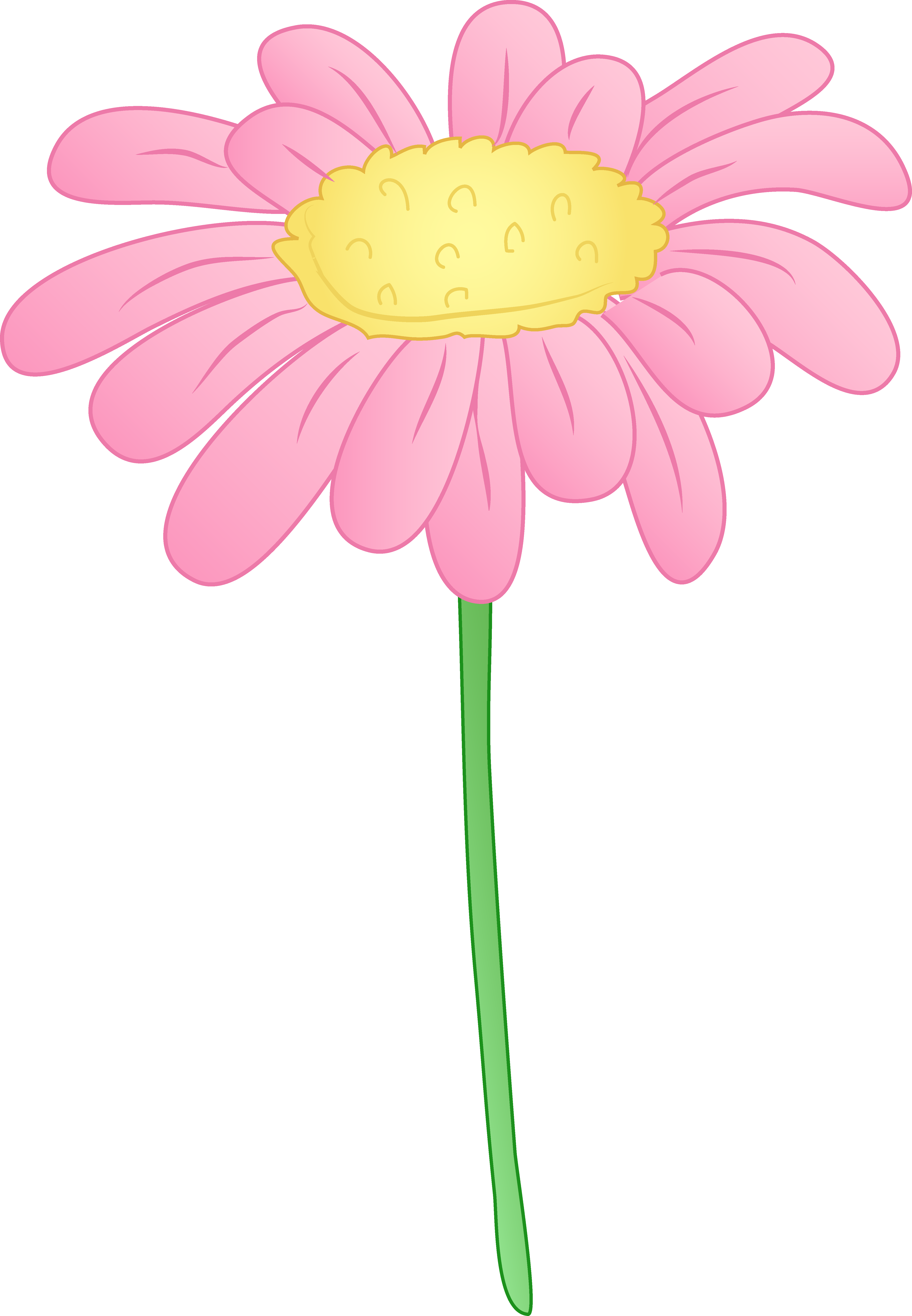 4682x6755 Pretty Pink Daisy Flower