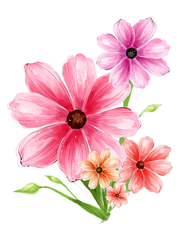 392x486 Hand Drawn Flower Pink Psd Graphic Flowers Hand