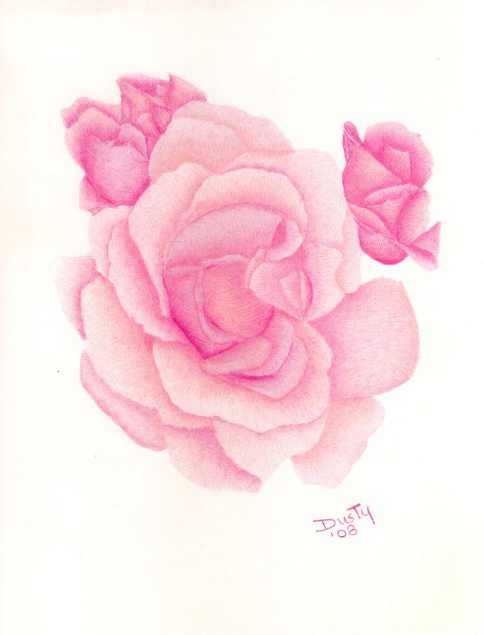 686x900 Angel Pink Rose Drawing By Dusty Reed
