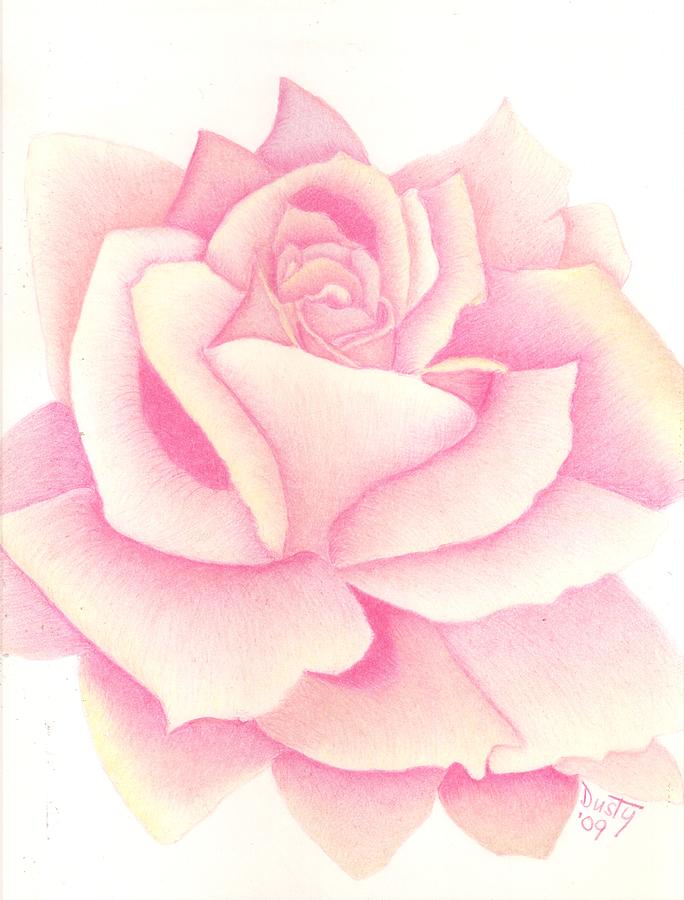 684x900 Simply Pink Rose Drawing By Dusty Reed