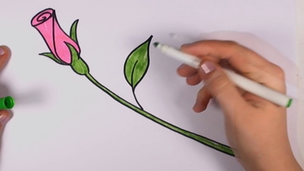 1280x720 How To Draw A Rose For Beginners