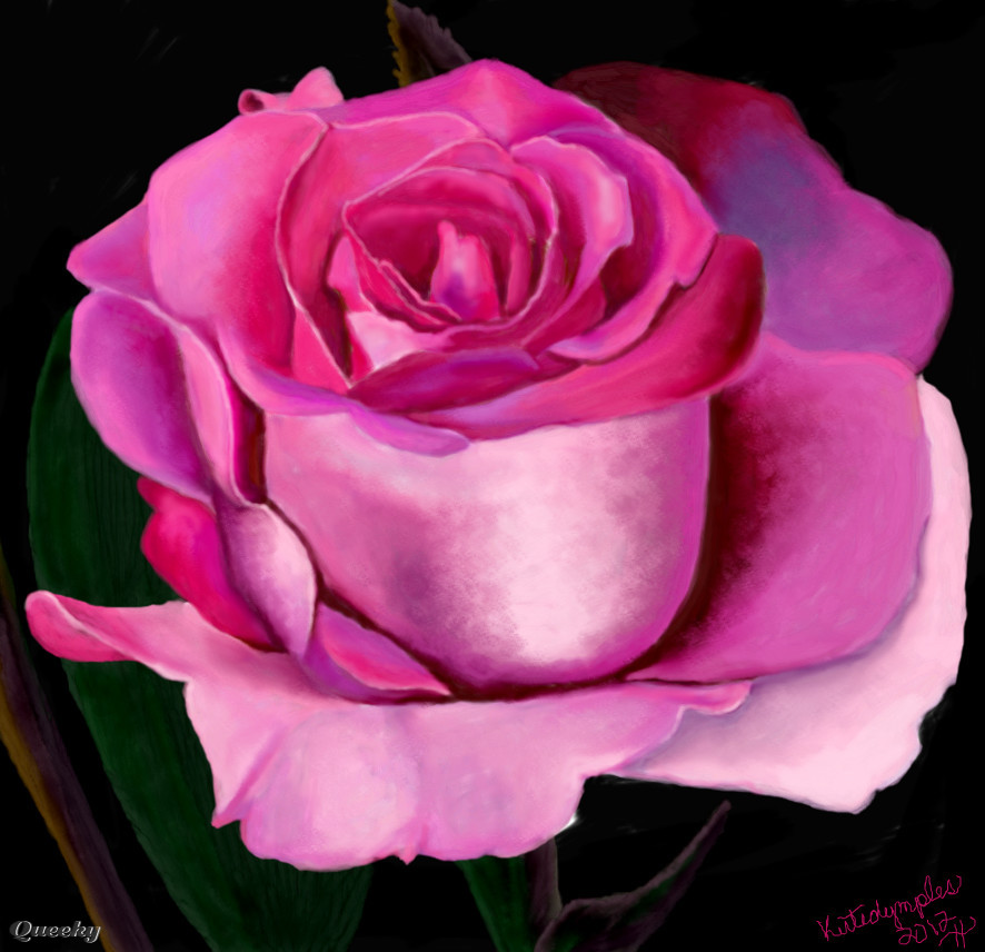 886x856 Pink Rose A Plants Speedpaint Drawing By Kutedymples In Group