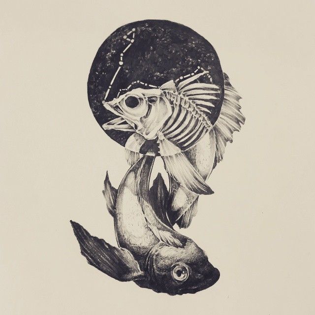 640x640 Mulpix Pisces Completed