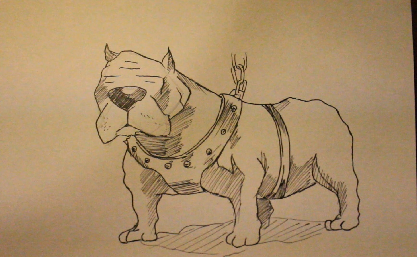 1737x1071 How To Draw Pitbull Dogstep By Stepface