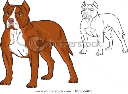 450x333 Of A Pit Bull Dog Vector Clipart Illustration