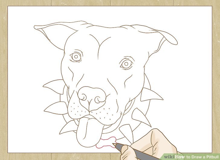 728x529 How To Draw A Pitbull (With Pictures)